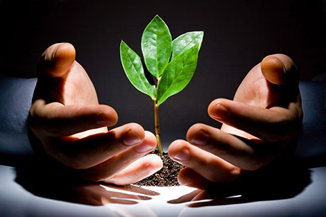 ASCOFI : Accompagnement de Startups et Conseils en Organisation et Financement de l’Innovation